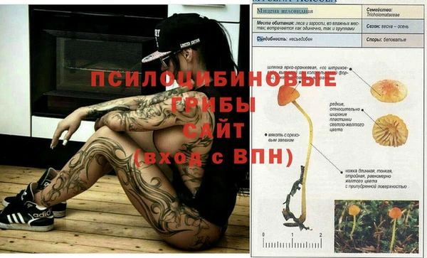 jwh Вяземский
